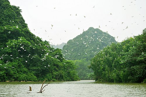 team-building-thung-nham-ninh-binh-2